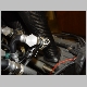 DSC07141.JPG