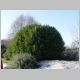 DSC08621.JPG