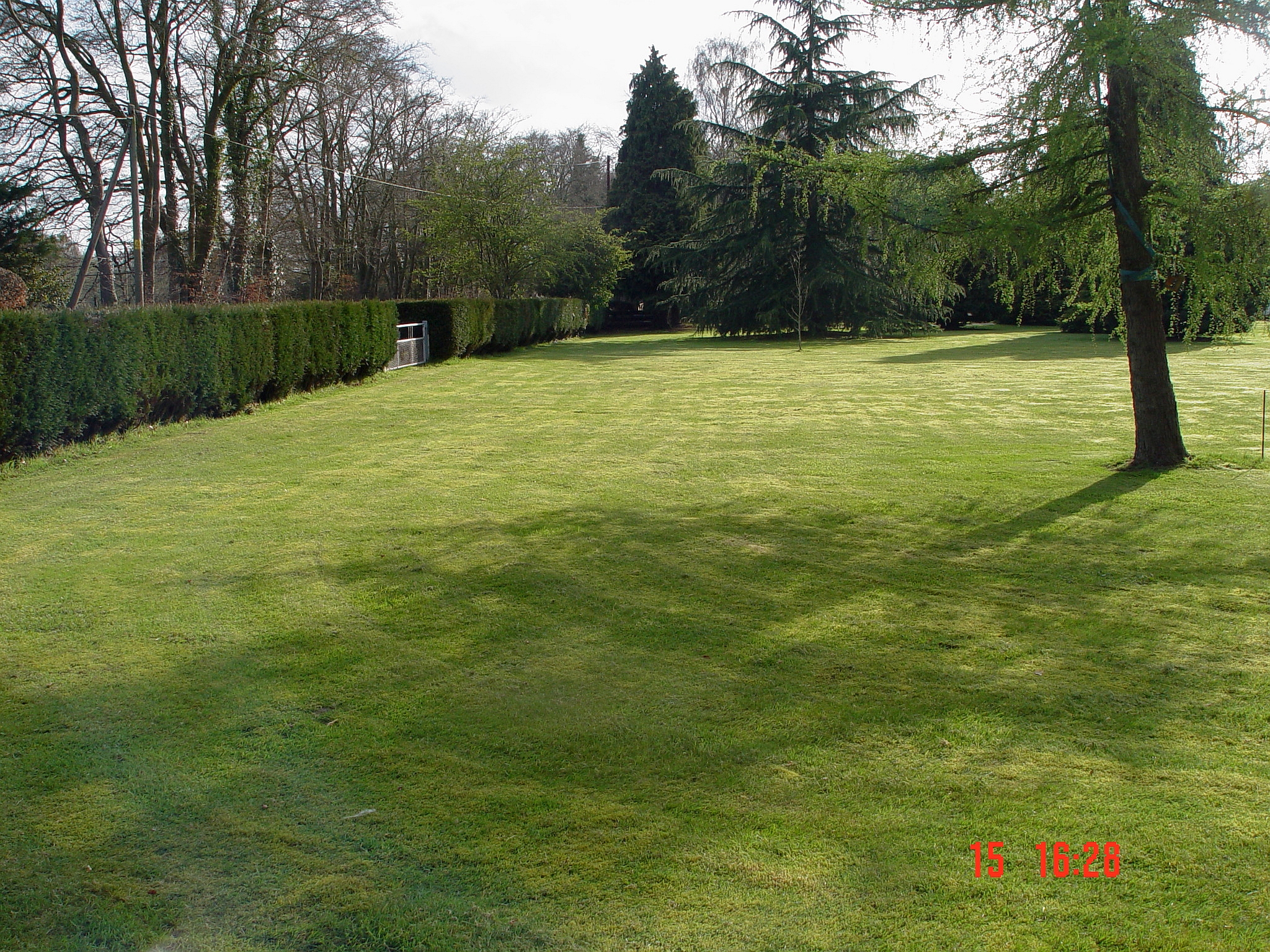 lawn1.jpg