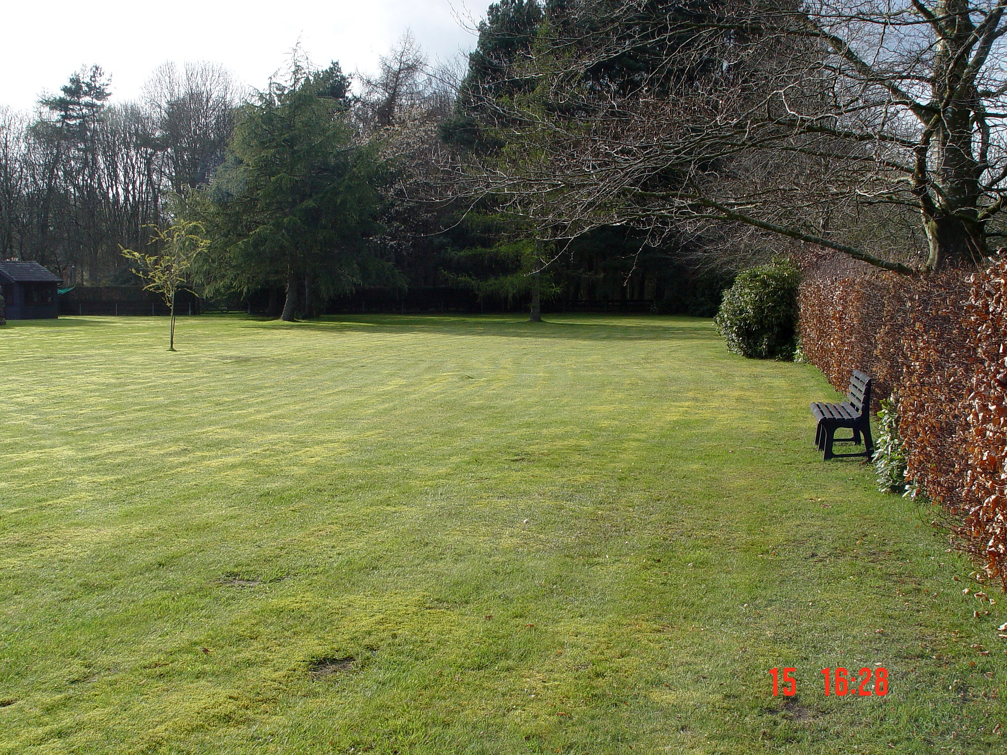 lawn2.jpg