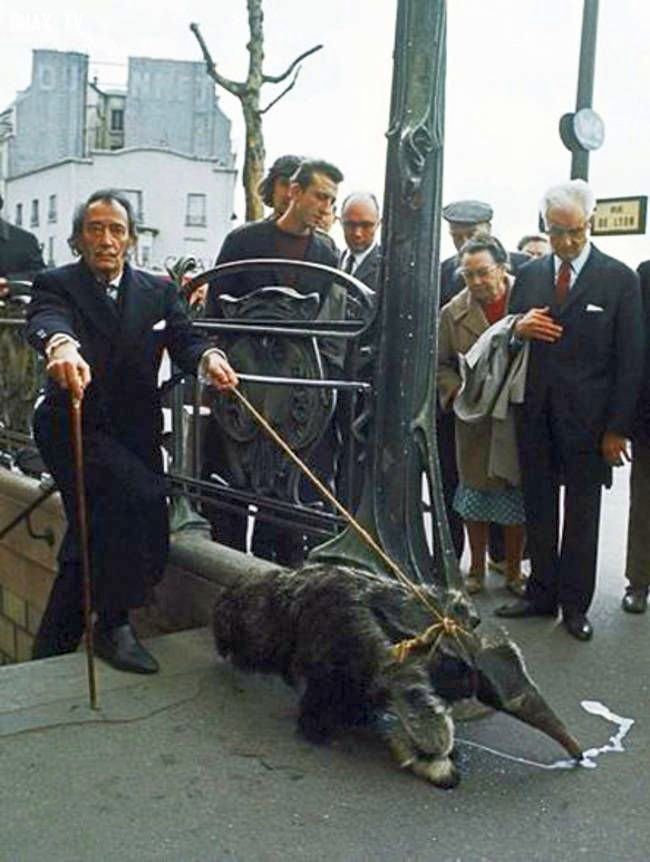 salvador-dali.jpg