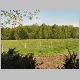 DSC03428.JPG