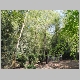 DSC03435.JPG
